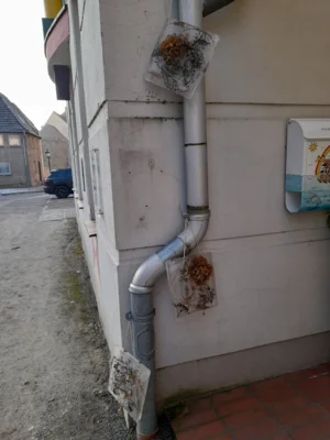 ideal als Winterschmuck 