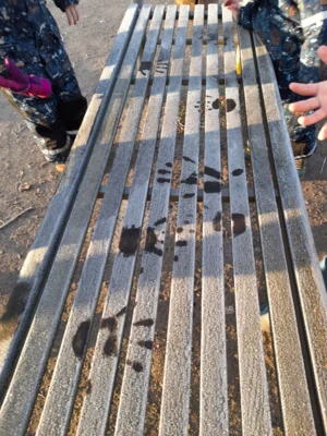Foto des Albums: Soviel Eis