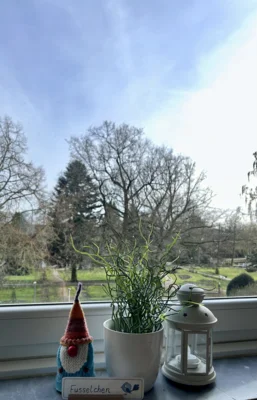 Sonstiges Lanzie  (Bild vergr&ouml;&szlig;ern)