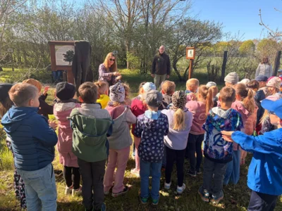 Foto des Albums: Zitterpappel im Museumshof gepflanzt