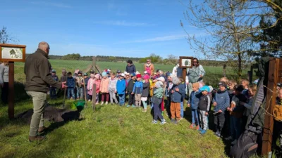 Foto des Albums: Zitterpappel im Museumshof gepflanzt