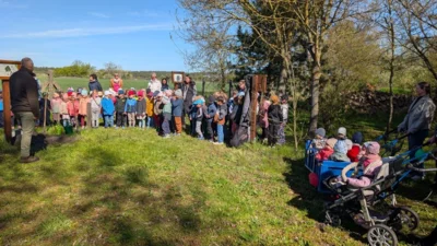 Foto des Albums: Zitterpappel im Museumshof gepflanzt
