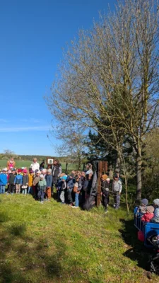 Foto des Albums: Zitterpappel im Museumshof gepflanzt