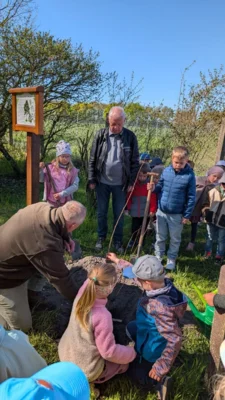Foto des Albums: Zitterpappel im Museumshof gepflanzt