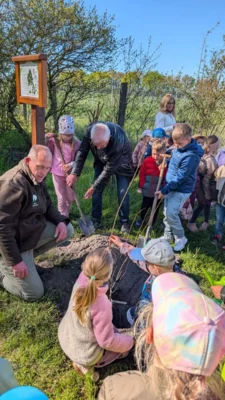Foto des Albums: Zitterpappel im Museumshof gepflanzt