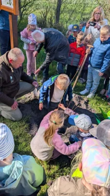 Foto des Albums: Zitterpappel im Museumshof gepflanzt