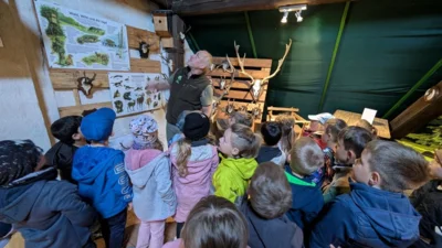 Foto des Albums: Zitterpappel im Museumshof gepflanzt