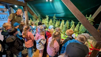 Foto des Albums: Zitterpappel im Museumshof gepflanzt