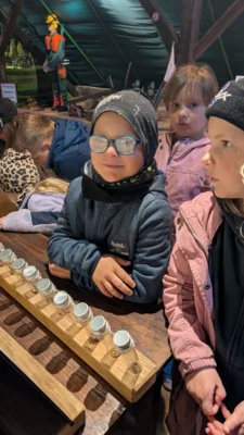 Foto des Albums: Zitterpappel im Museumshof gepflanzt