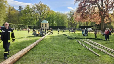 Foto des Albums: Maibaum 2026