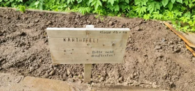 Fotoalbum Kartoffel setzen im Schulgarten
