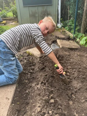 Foto des Albums: Kartoffel setzen im Schulgarten