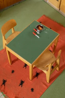 Foto des Albums: Schmetterlinge