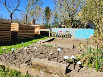 Foto des Albums: Neues vom Schulgarten