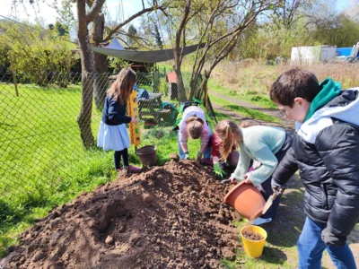 Foto des Albums: Neues vom Schulgarten