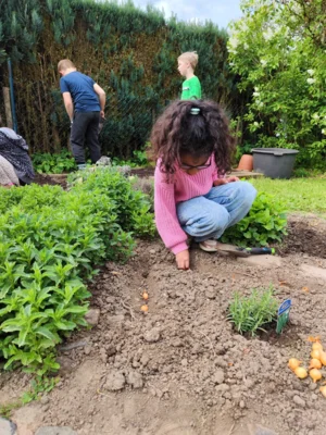 Foto des Albums: Neues vom Schulgarten