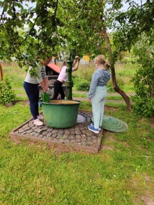 Foto des Albums: Neues vom Schulgarten