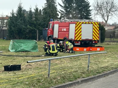 Foto des Albums: Berichtsreihe GSE Teil II