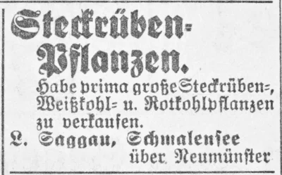 Steckr&uuml;ben bei Ludwig Saggau, SKTB 08 06 1936 