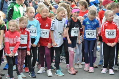 Foto des Albums: 38. Lauf um die Kreckwitzer Höhen - Zielareal