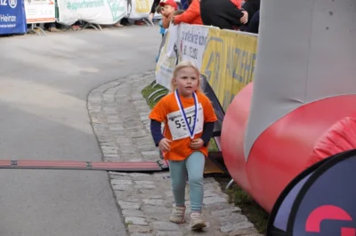 Foto des Albums: 38. Lauf um die Kreckwitzer Höhen - Zielareal