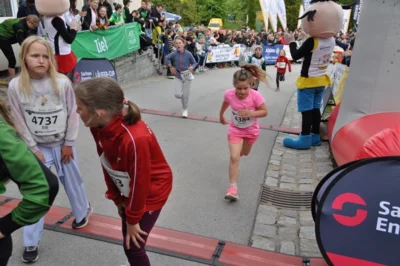 Foto des Albums: 38. Lauf um die Kreckwitzer Höhen - Zielareal