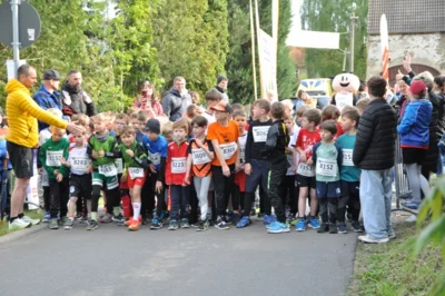 Foto des Albums: 38. Lauf um die Kreckwitzer Höhen - Zielareal