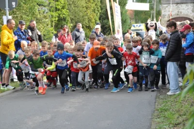 Foto des Albums: 38. Lauf um die Kreckwitzer Höhen - Zielareal