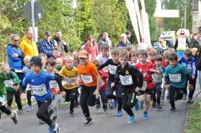 Foto des Albums: 38. Lauf um die Kreckwitzer Höhen - Zielareal
