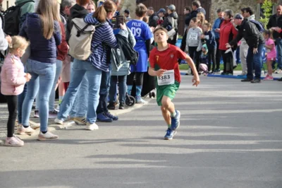 Foto des Albums: 38. Lauf um die Kreckwitzer Höhen - Zielareal
