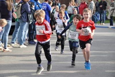 Foto des Albums: 38. Lauf um die Kreckwitzer Höhen - Zielareal