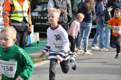 Foto des Albums: 38. Lauf um die Kreckwitzer Höhen - Zielareal
