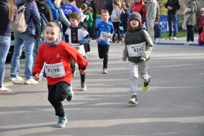 Foto des Albums: 38. Lauf um die Kreckwitzer Höhen - Zielareal