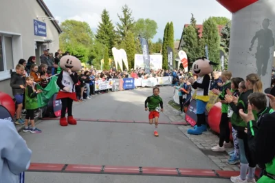 Foto des Albums: 38. Lauf um die Kreckwitzer Höhen - Zielareal