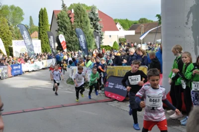 Foto des Albums: 38. Lauf um die Kreckwitzer Höhen - Zielareal