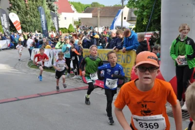 Foto des Albums: 38. Lauf um die Kreckwitzer Höhen - Zielareal