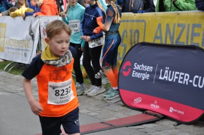 Foto des Albums: 38. Lauf um die Kreckwitzer Höhen - Zielareal