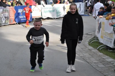 Foto des Albums: 38. Lauf um die Kreckwitzer Höhen - Zielareal