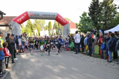 Foto des Albums: 38. Lauf um die Kreckwitzer Höhen - Zielareal