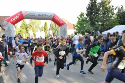 Foto des Albums: 38. Lauf um die Kreckwitzer Höhen - Zielareal