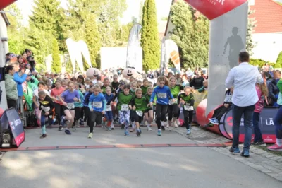 Foto des Albums: 38. Lauf um die Kreckwitzer Höhen - Zielareal