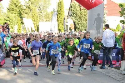 Foto des Albums: 38. Lauf um die Kreckwitzer Höhen - Zielareal