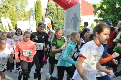 Foto des Albums: 38. Lauf um die Kreckwitzer Höhen - Zielareal