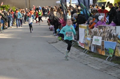 Foto des Albums: 38. Lauf um die Kreckwitzer Höhen - Zielareal