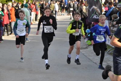 Foto des Albums: 38. Lauf um die Kreckwitzer Höhen - Zielareal