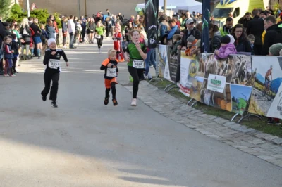 Foto des Albums: 38. Lauf um die Kreckwitzer Höhen - Zielareal