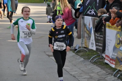 Foto des Albums: 38. Lauf um die Kreckwitzer Höhen - Zielareal