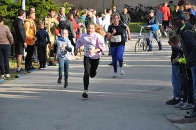 Foto des Albums: 38. Lauf um die Kreckwitzer Höhen - Zielareal