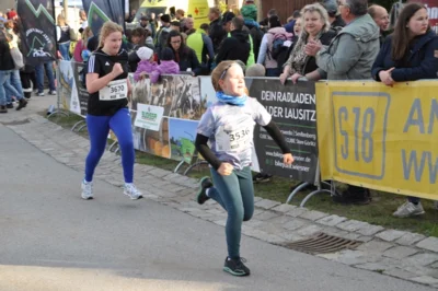 Foto des Albums: 38. Lauf um die Kreckwitzer Höhen - Zielareal