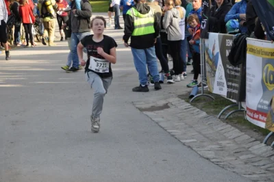 Foto des Albums: 38. Lauf um die Kreckwitzer Höhen - Zielareal